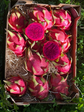 Lade das Bild in den Galerie-Viewer, Drachenfrüchte 1 kg (rot)
