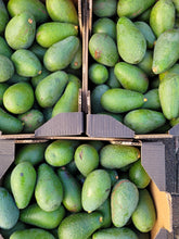 Lade das Bild in den Galerie-Viewer, Avocado Fuerte 4,5 kg
